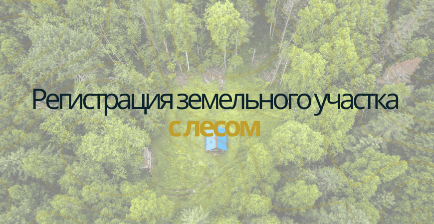 Земельный участок с лесом в Волоколамске и Волоколамском районе